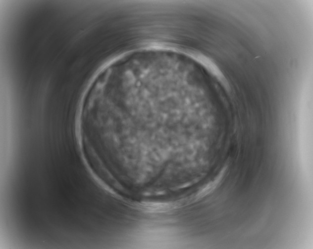 X0000088141247200706042002