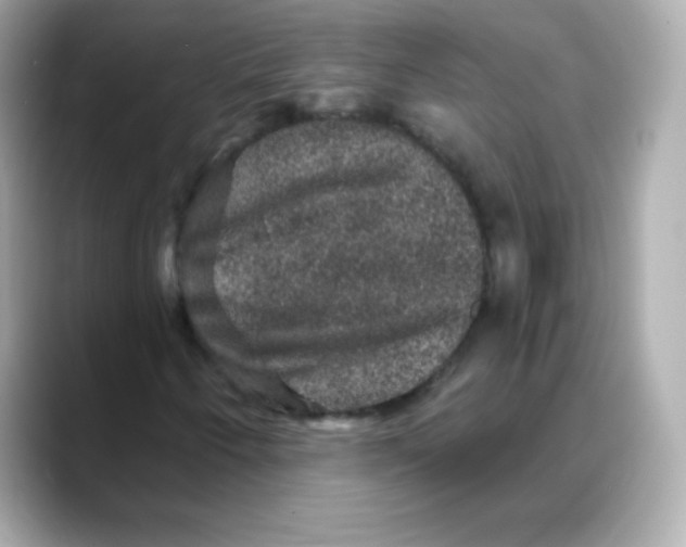 X0000088141250200706042002