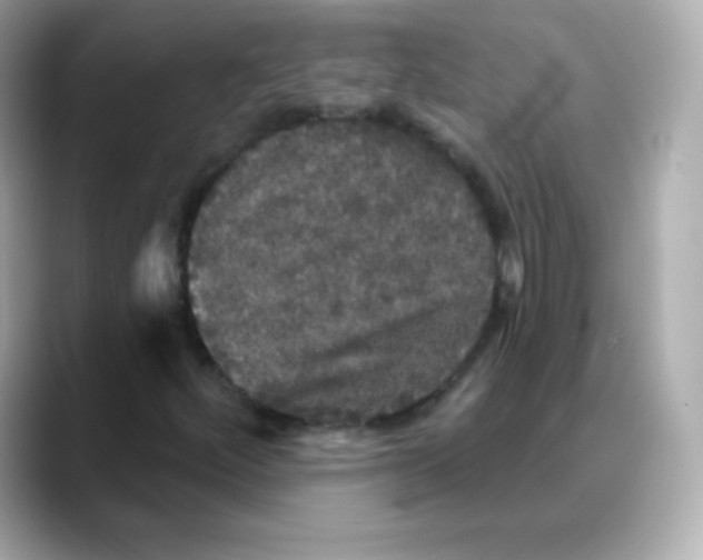 X0000088141252200706042002