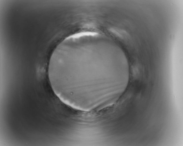 X0000088141254200706042002