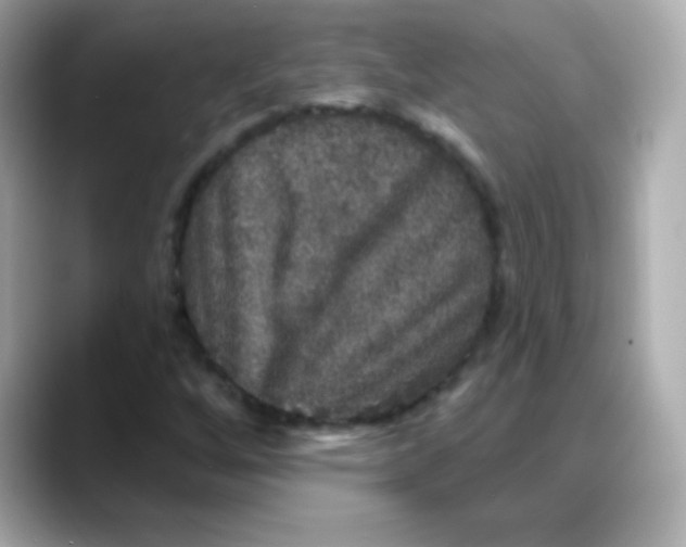 X0000088141256200706042002