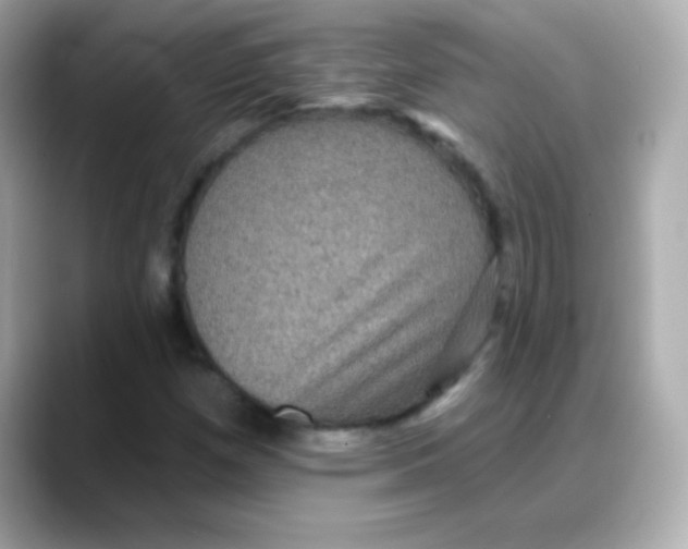 X0000088141257200706042002