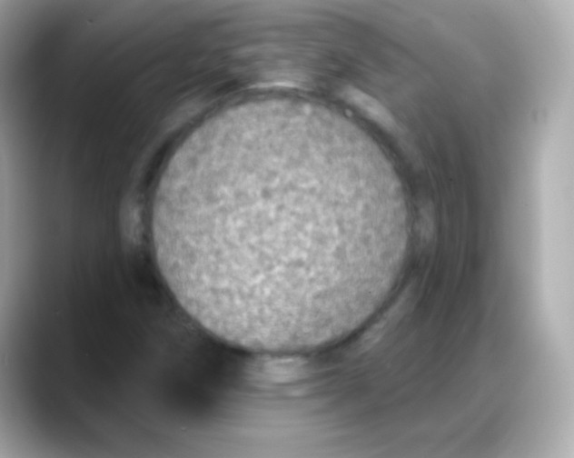 X0000088141258200706042002