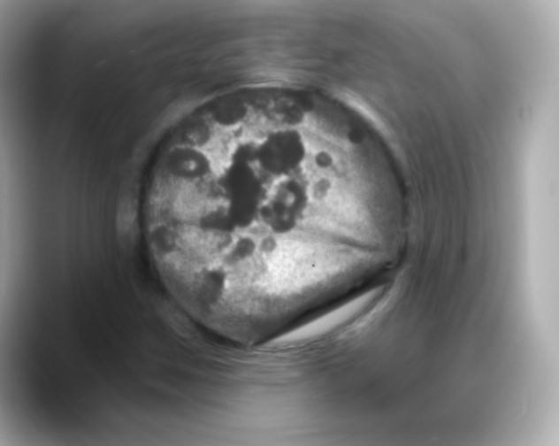 X0000088141259200706042002