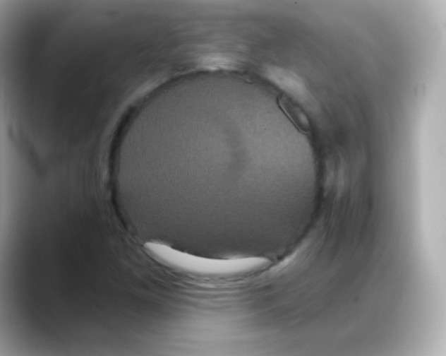 X0000088141261200706042002