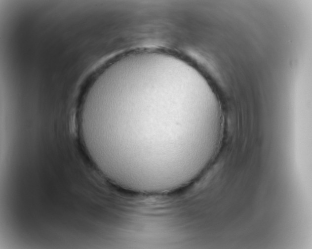 X0000088141262200706042002