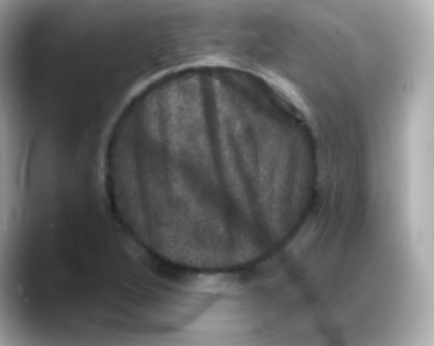 X0000088141264200706042002