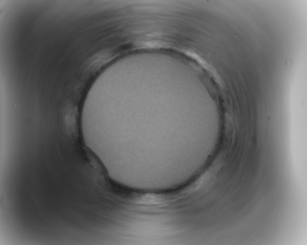 X0000088141265200706042002