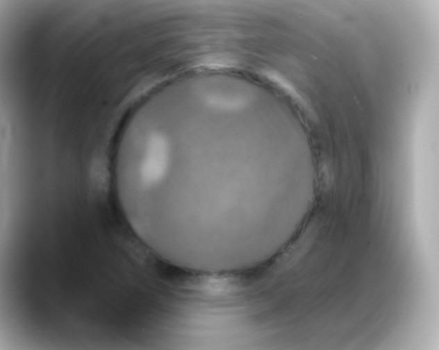 X0000088141266200706042002