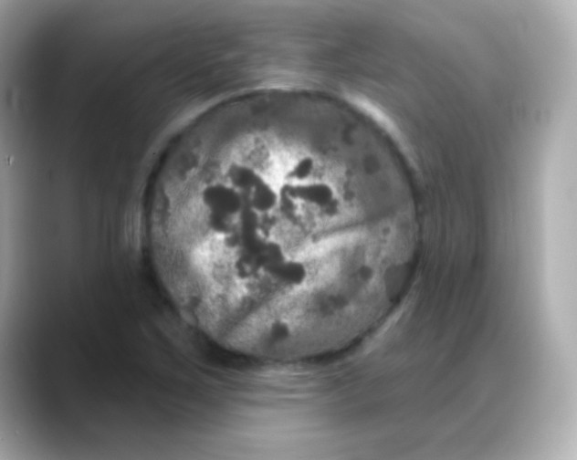 X0000088141267200706042002