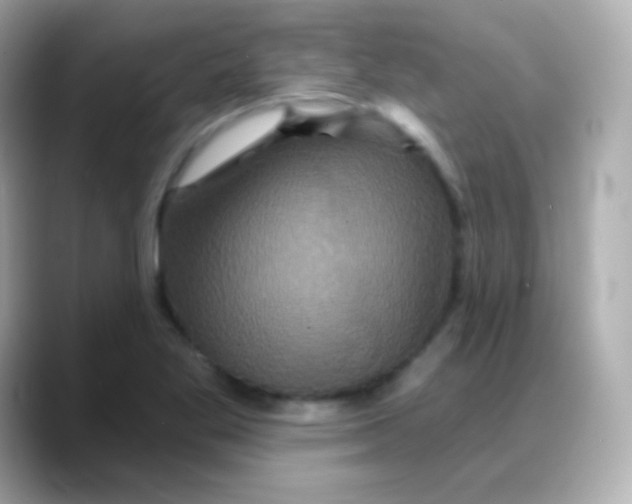 X0000088141269200706042002