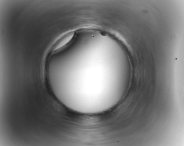 X0000088141270200706042002