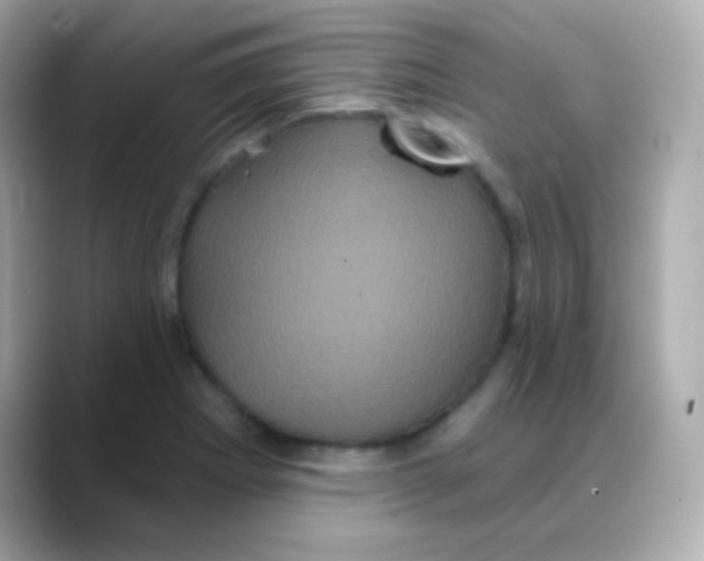 X0000088141273200706042002