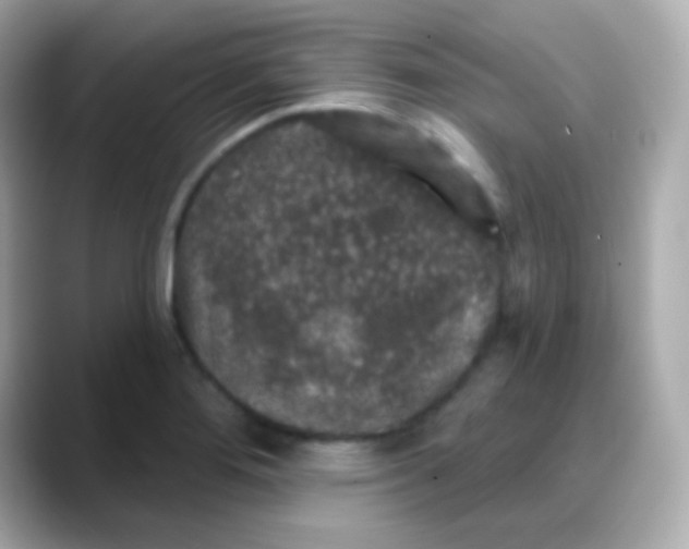 X0000088141276200706042001