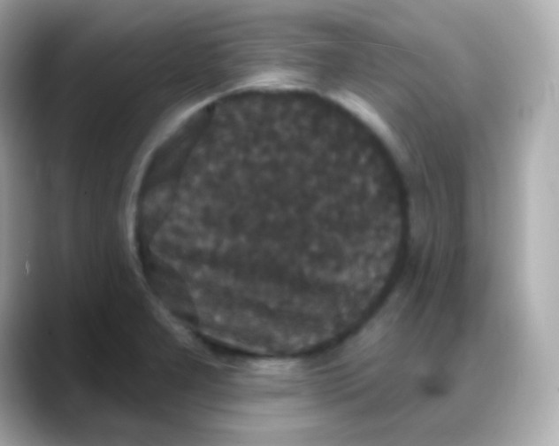 X0000088141277200706042001