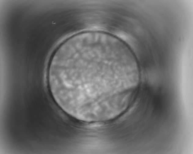 X0000088141278200706042001