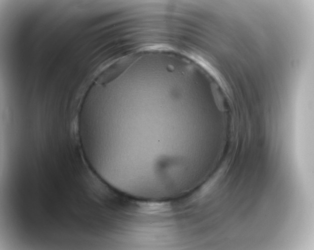 X0000088141281200706042001