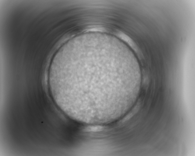 X0000088141282200706042001