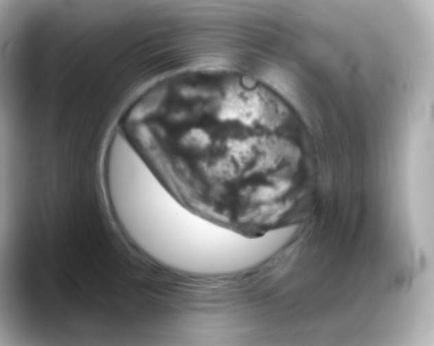 X0000088141283200706042001