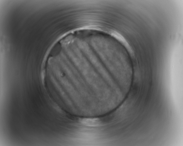 X0000088141284200706042001