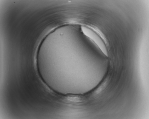 X0000088141285200706042001