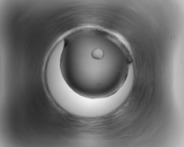 X0000088141287200706042001