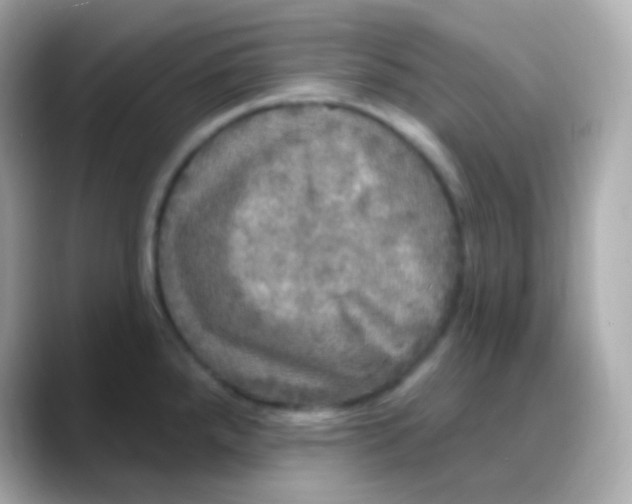 X0000088141288200706042001