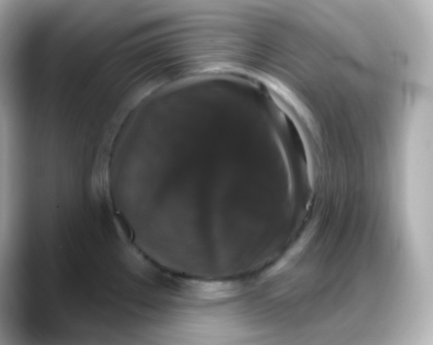 X0000088141289200706042001