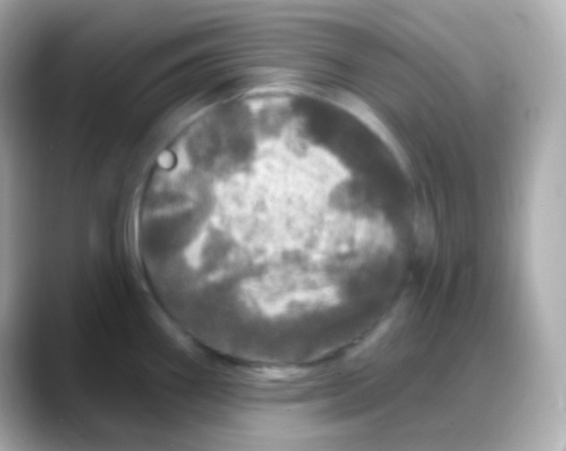 X0000088141290200706042001