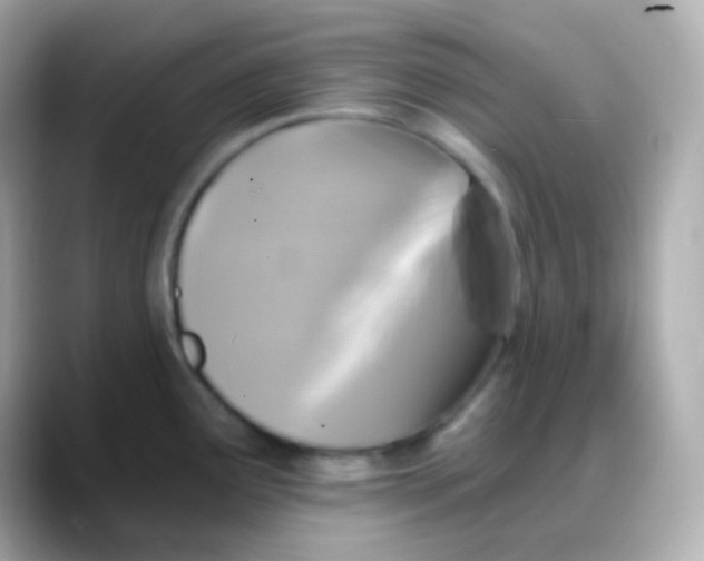 X0000088141291200706042001