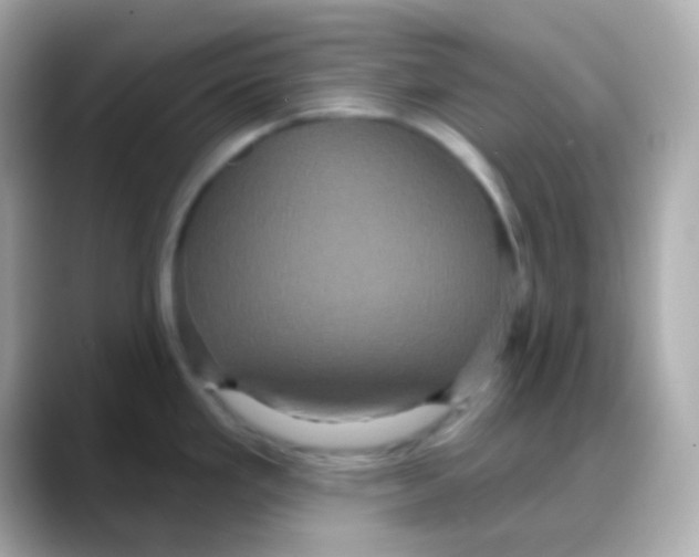 X0000088141293200706042001