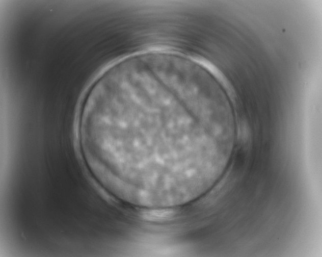 X0000088141294200706042001