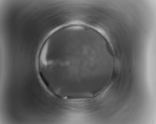 X0000088141295200706042001