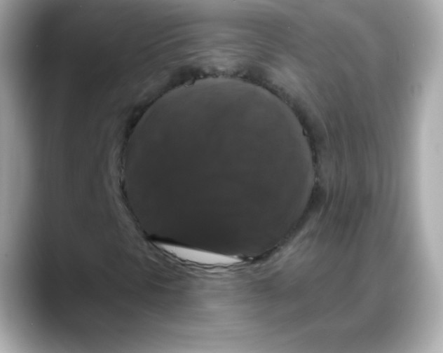 X0000088141297200706042001