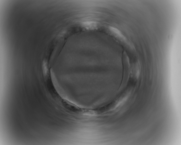 X0000088141298200706042001