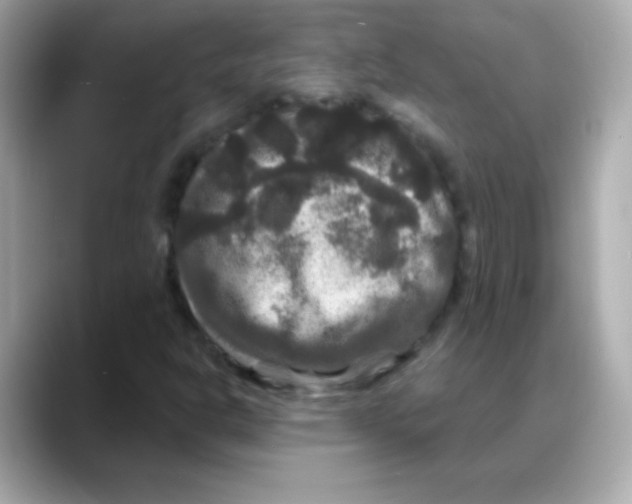 X0000088141302200706042001