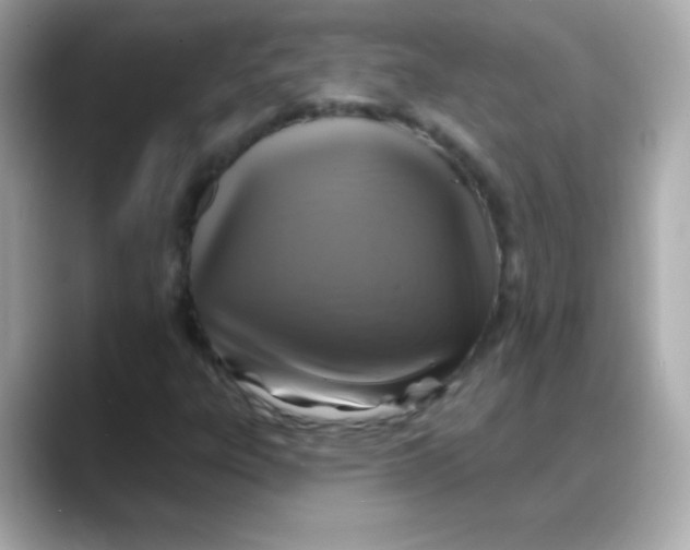 X0000088141303200706042001