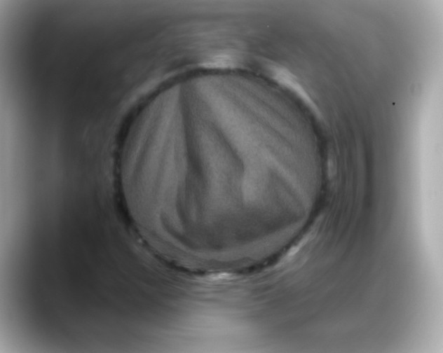 X0000088141304200706042001