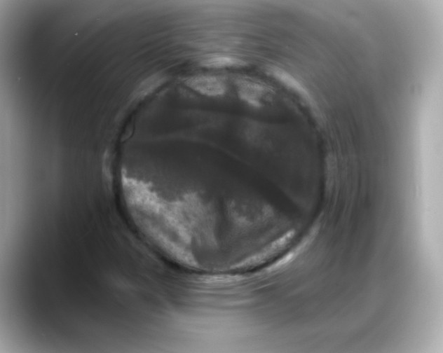 X0000088141305200706042001