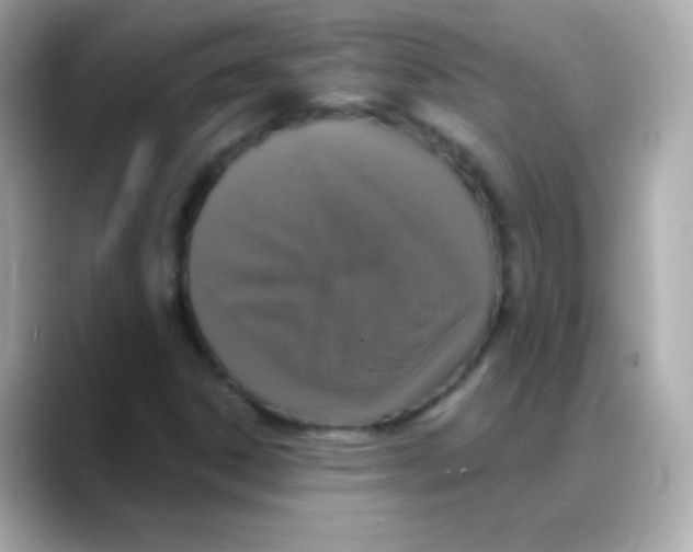 X0000088141306200706042001