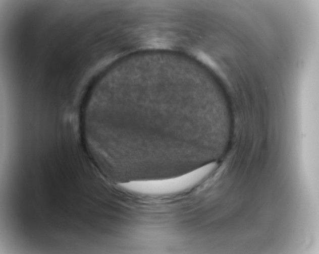 X0000088141307200706042001