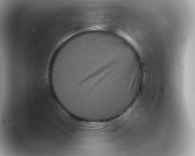 X0000088141308200706042001