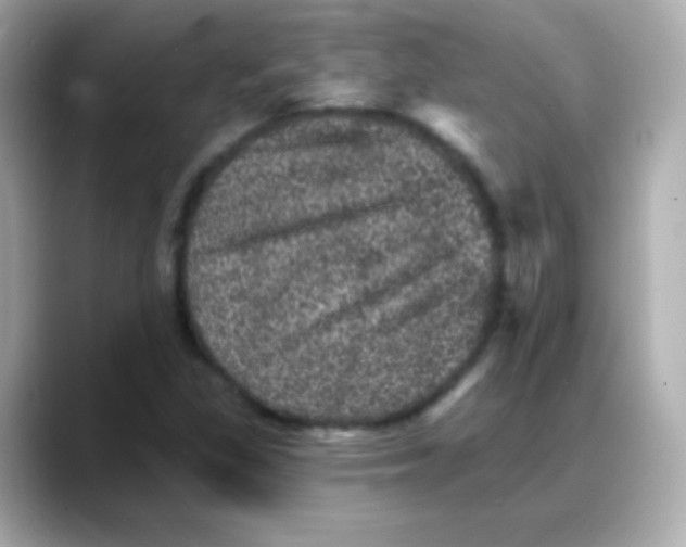 X0000088141309200706042001