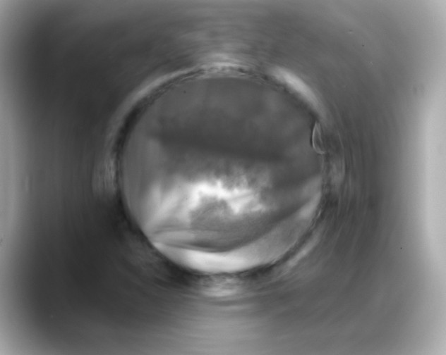 X0000088141310200706042001