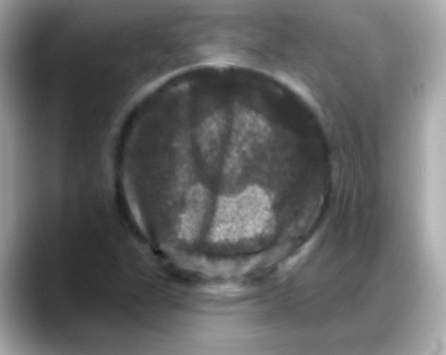 X0000088141311200706042001