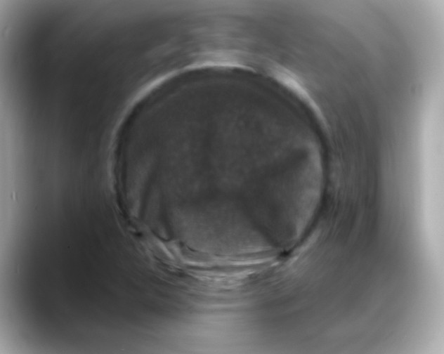 X0000088141312200706042001