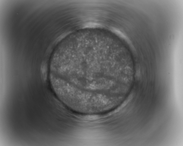 X0000088141313200706042001