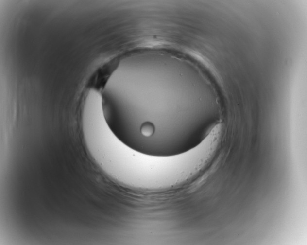 X0000088141314200706042001