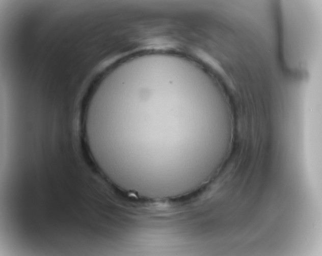 X0000088141315200706042001