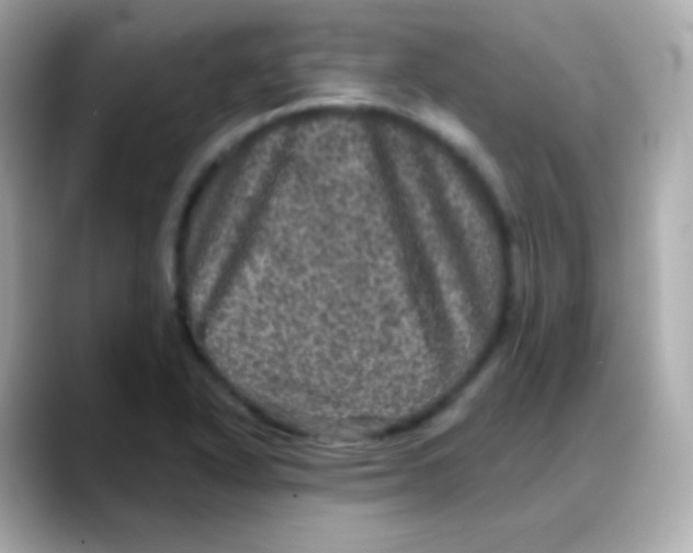 X0000088141318200706042001